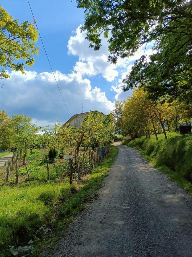 Agriturismo Al Monte San Piero in Bagno Dış mekan fotoğraf